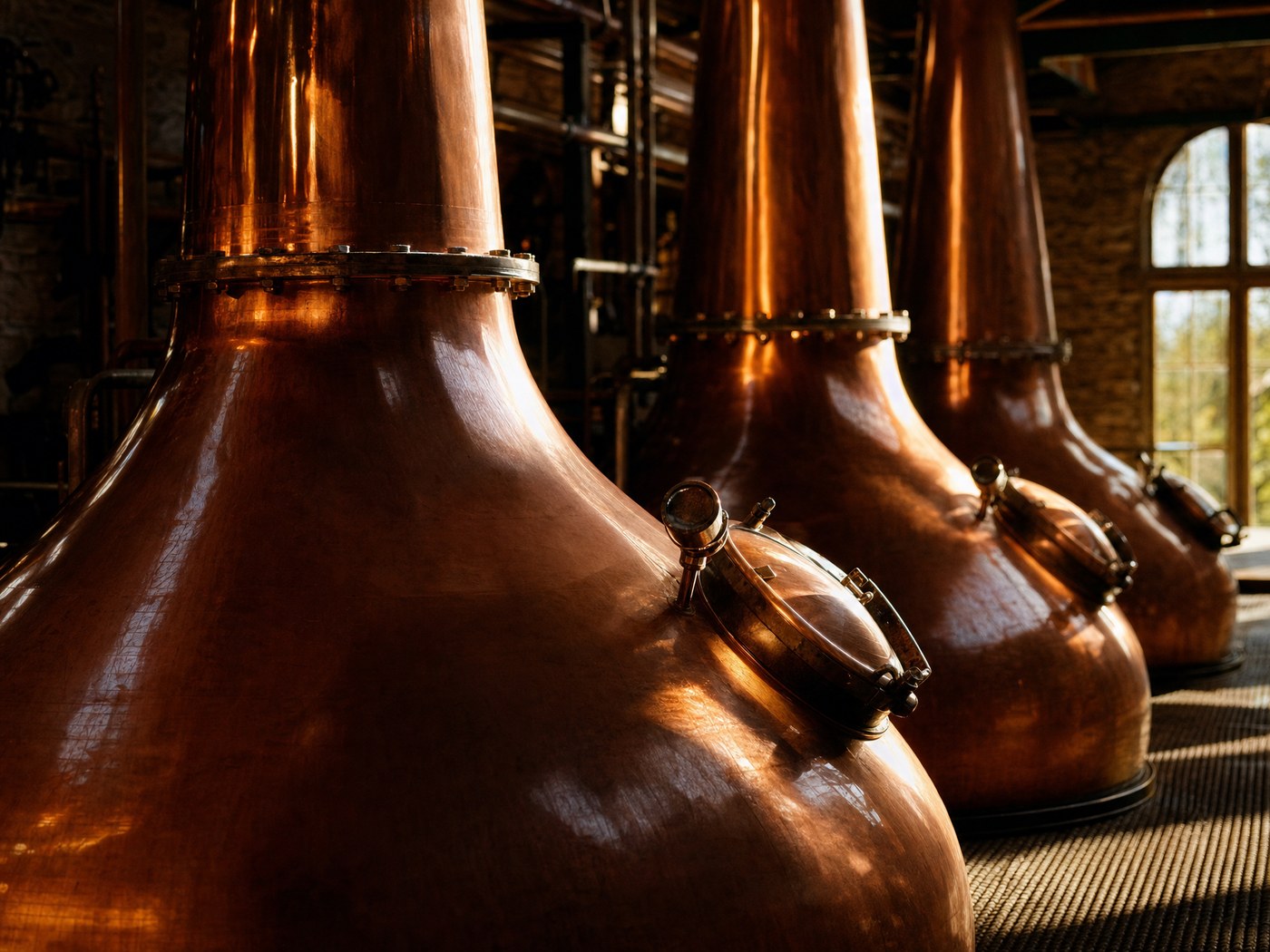 Copper pot stills in a whisky distillery